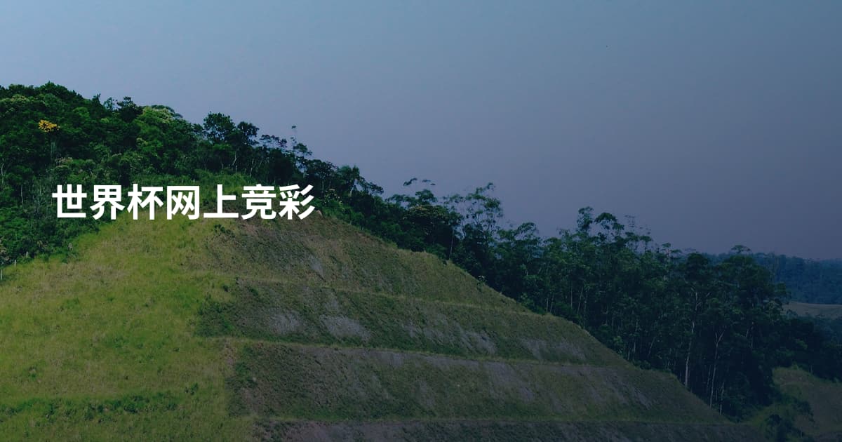 世界杯网上竞彩