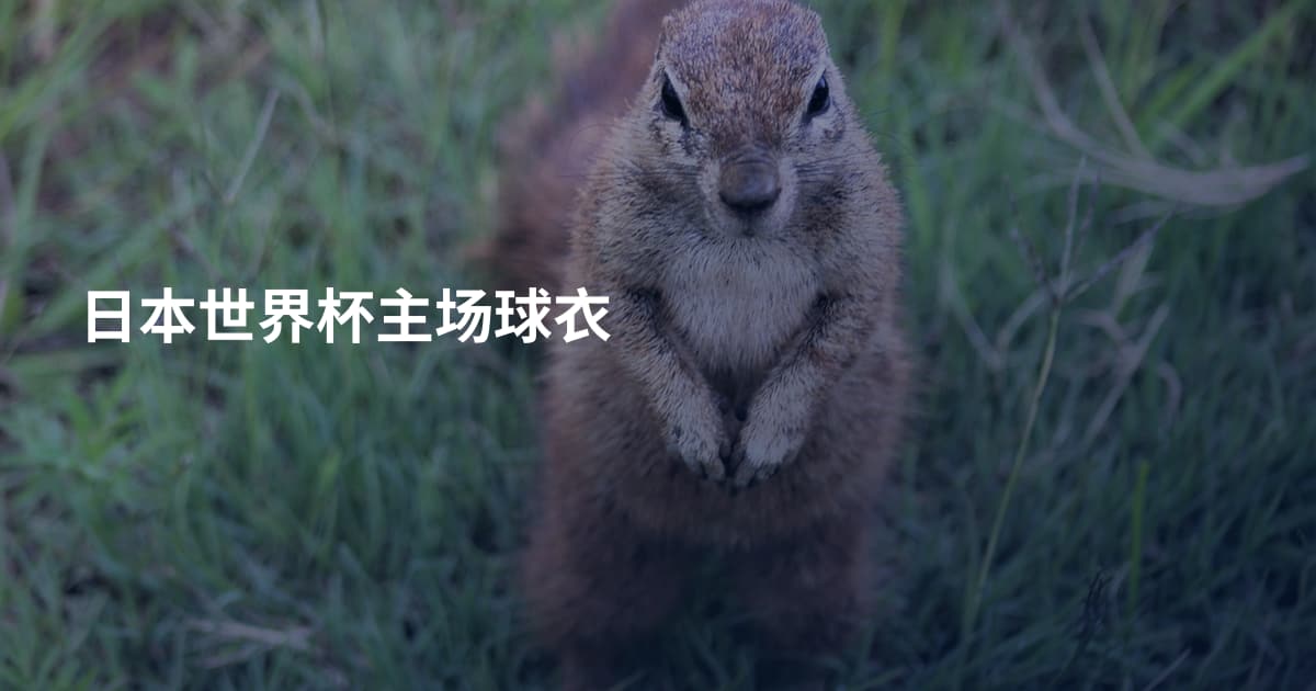 日本世界杯主场球衣