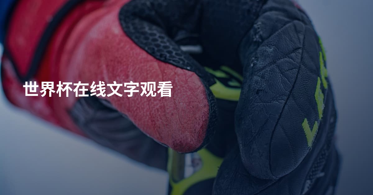 世界杯在线文字观看
