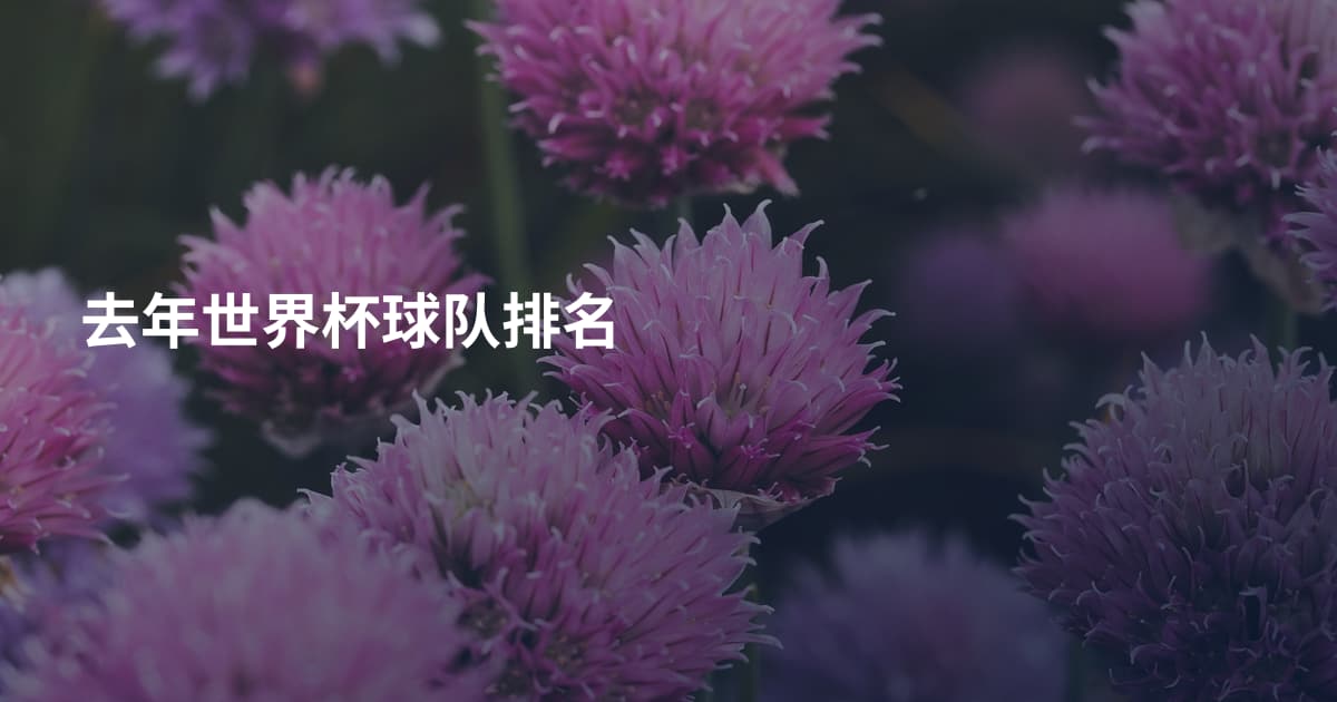 去年世界杯球队排名