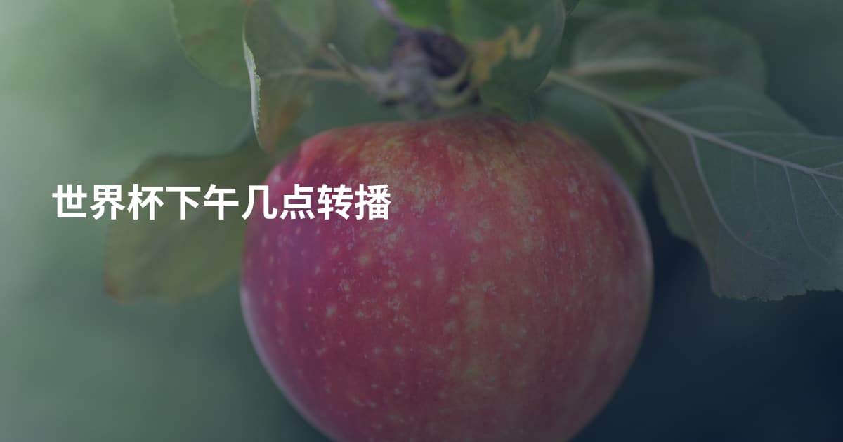 世界杯下午几点转播