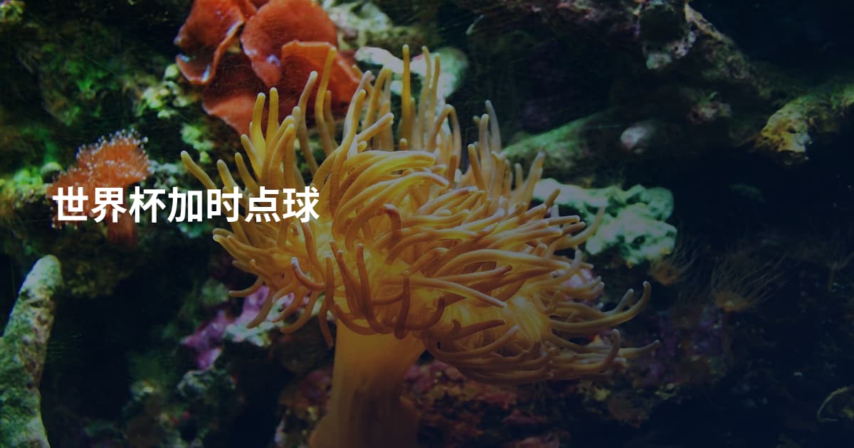世界杯加时点球