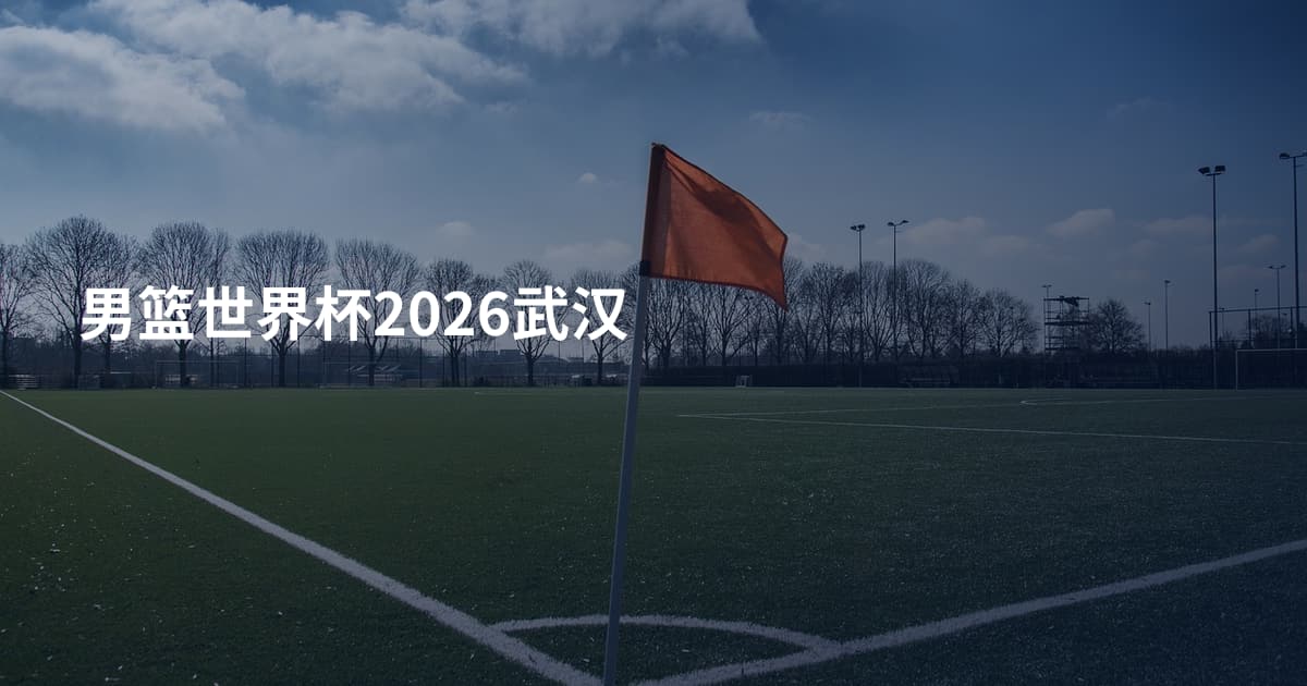 男篮世界杯2026武汉