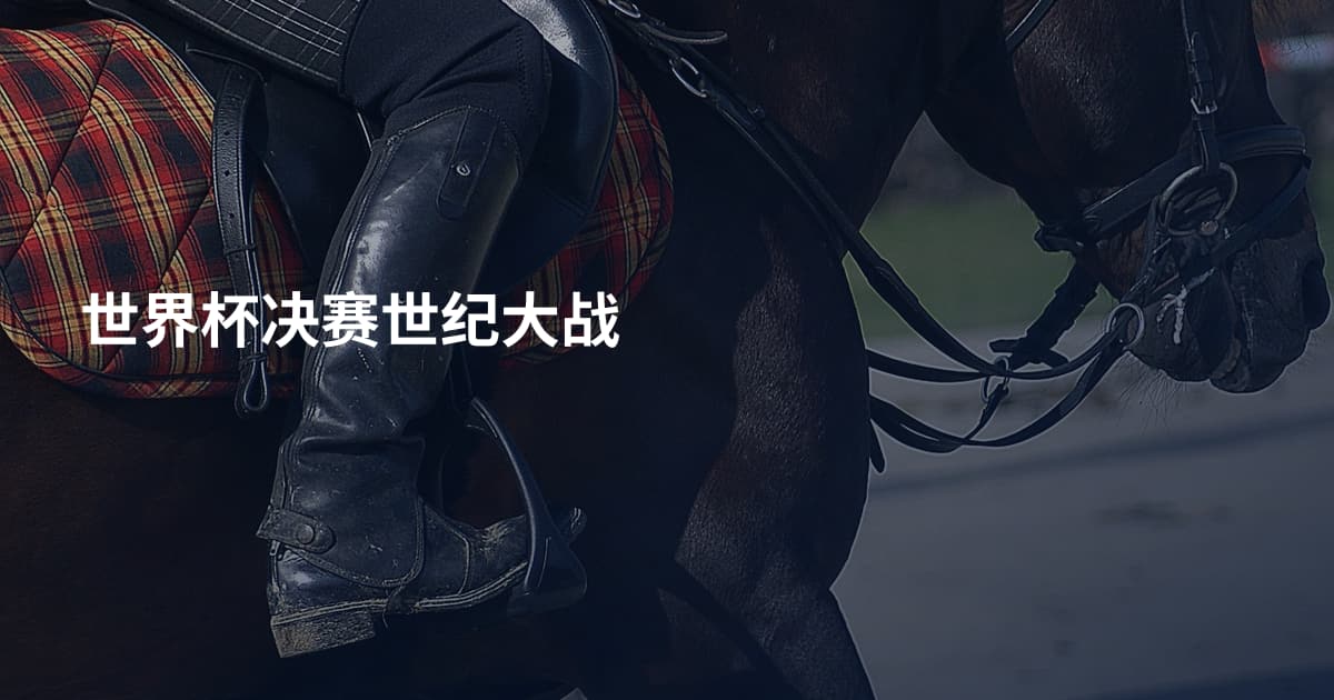 世界杯决赛世纪大战