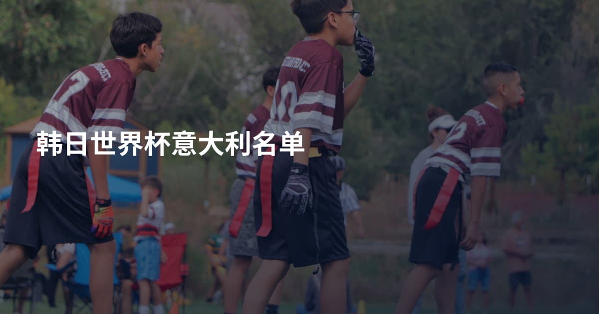 韩日世界杯意大利名单