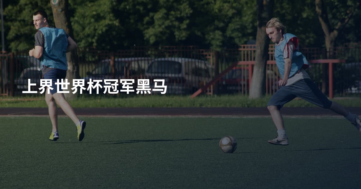 上界世界杯冠军黑马