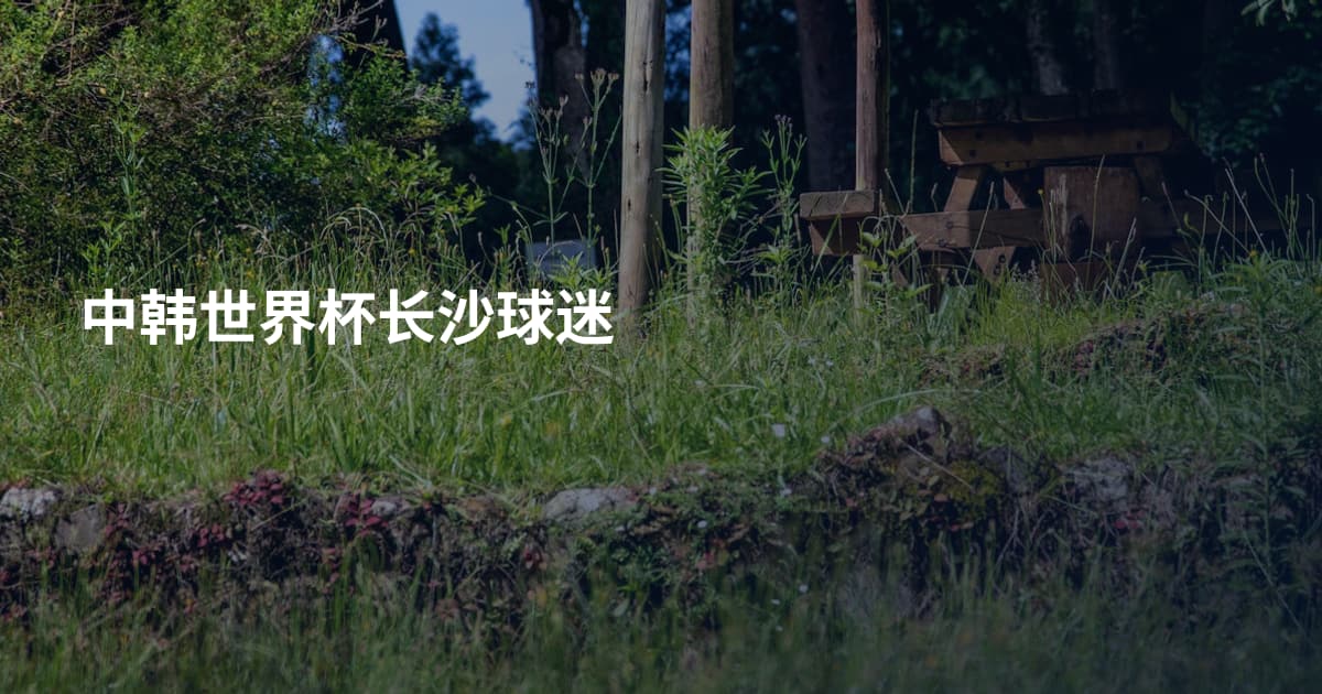 中韩世界杯长沙球迷