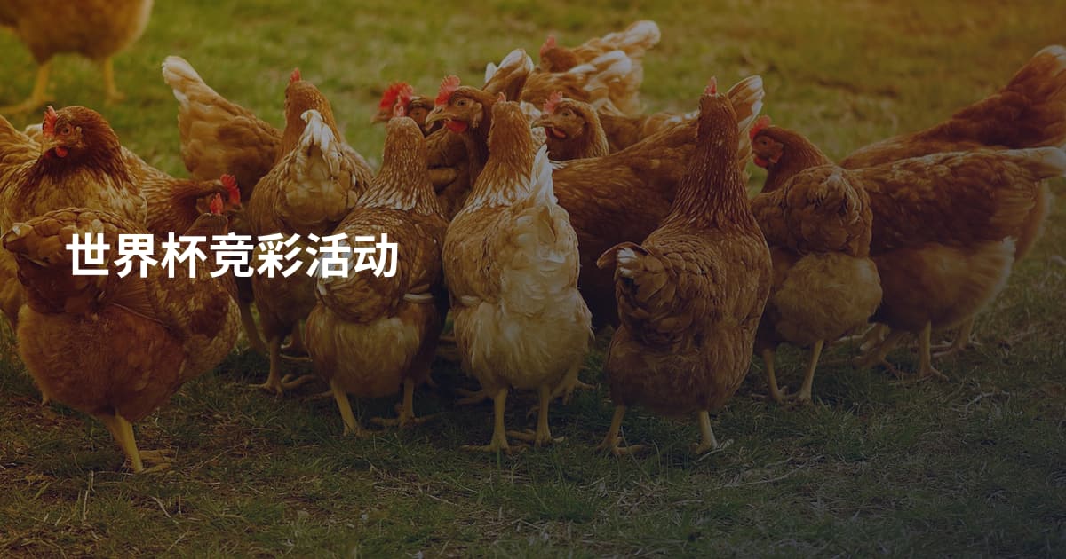 世界杯竞彩活动