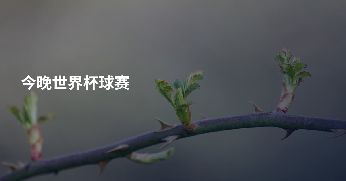 今晚世界杯球赛