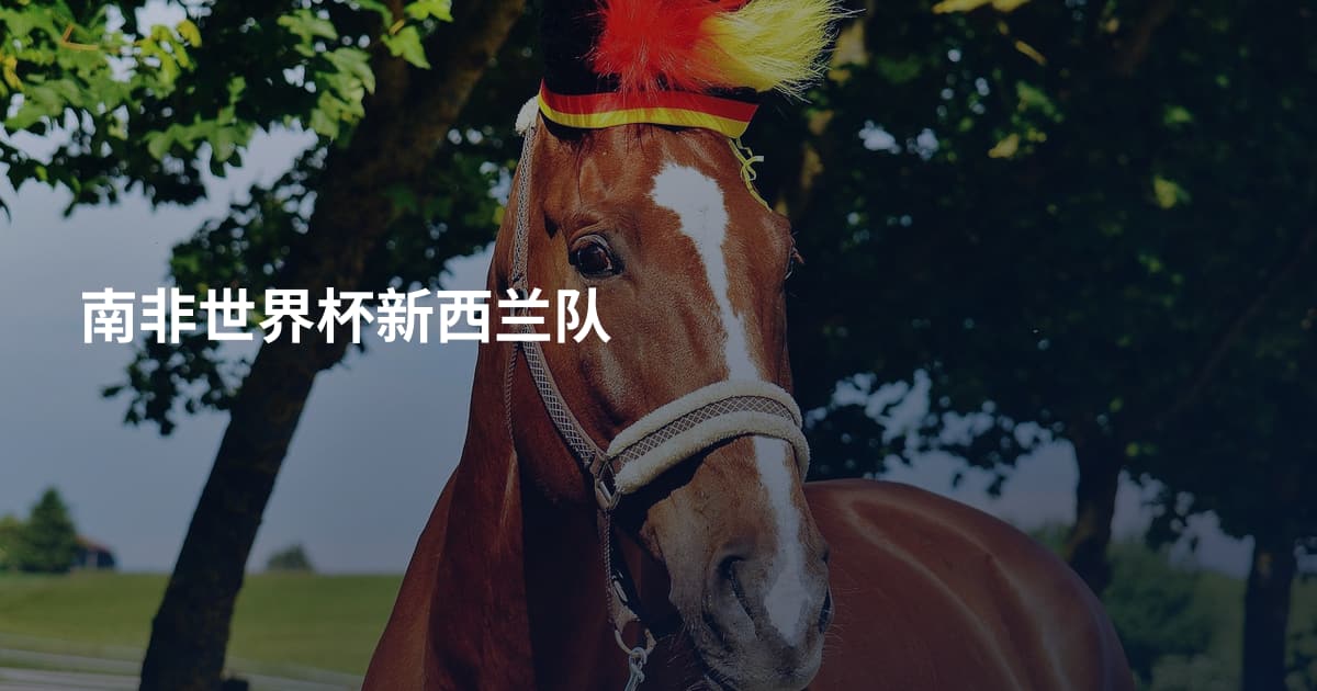 南非世界杯新西兰队