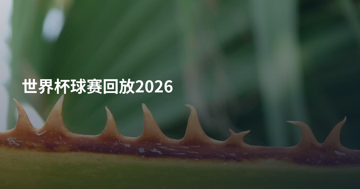世界杯球赛回放2026