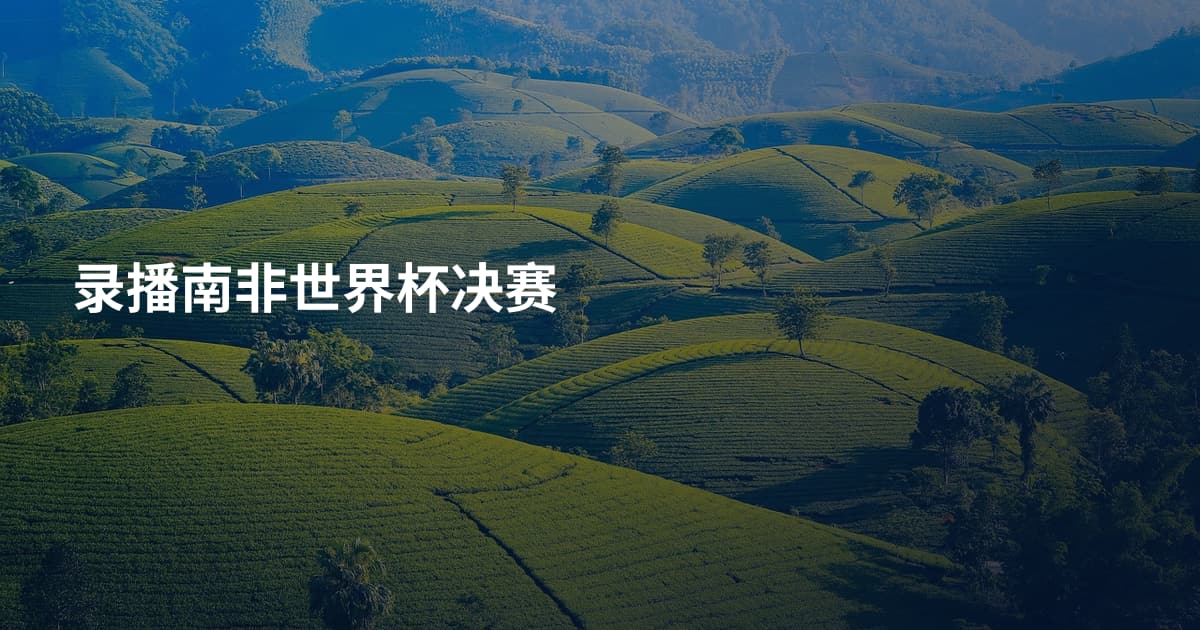 录播南非世界杯决赛