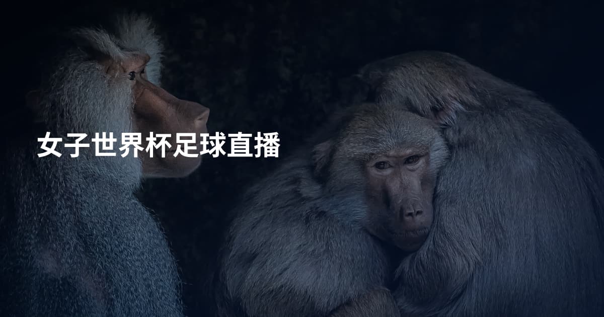 女子世界杯足球直播