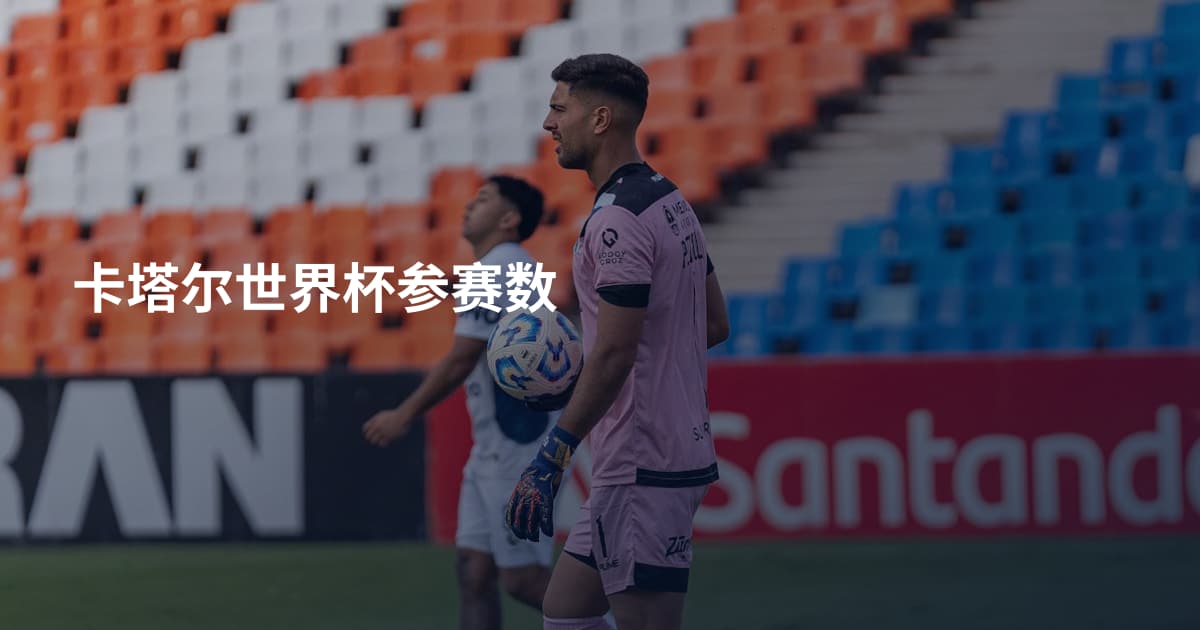 卡塔尔世界杯参赛数