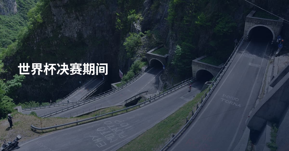 世界杯决赛期间