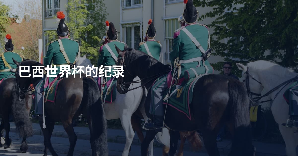 巴西世界杯的纪录