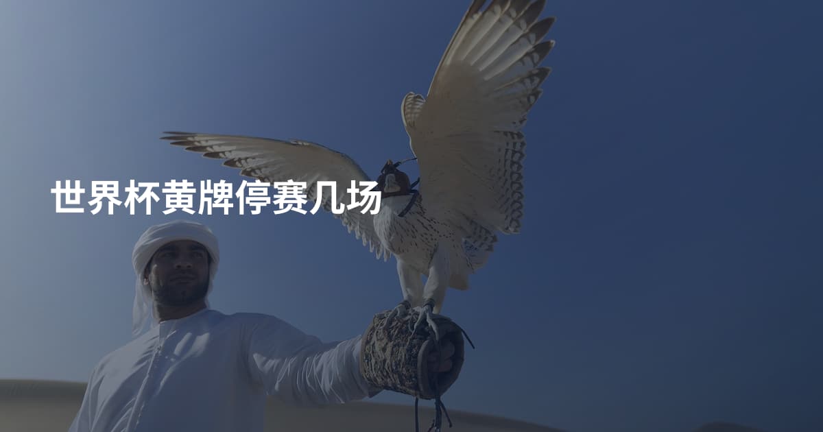 世界杯黄牌停赛几场