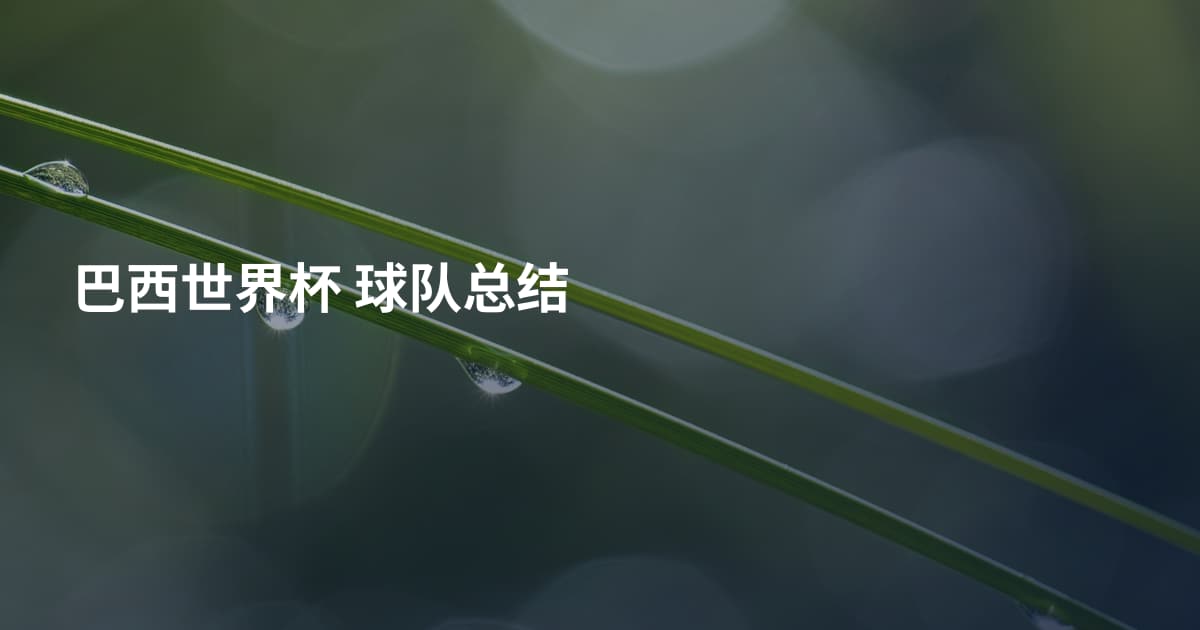 巴西世界杯 球队总结