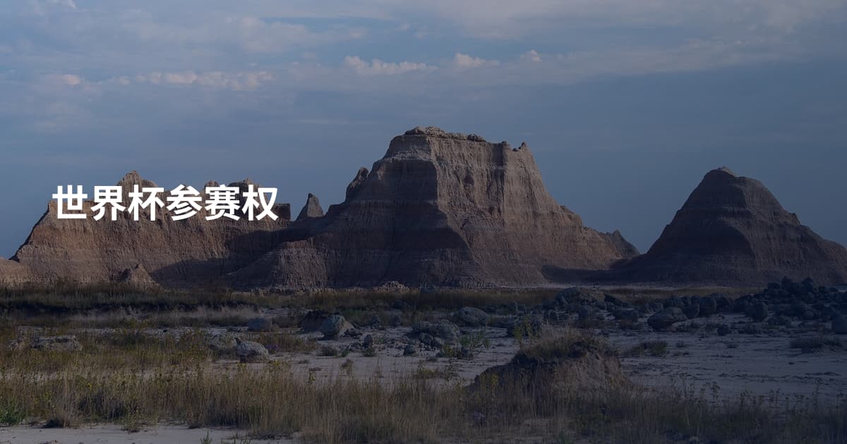 世界杯参赛权