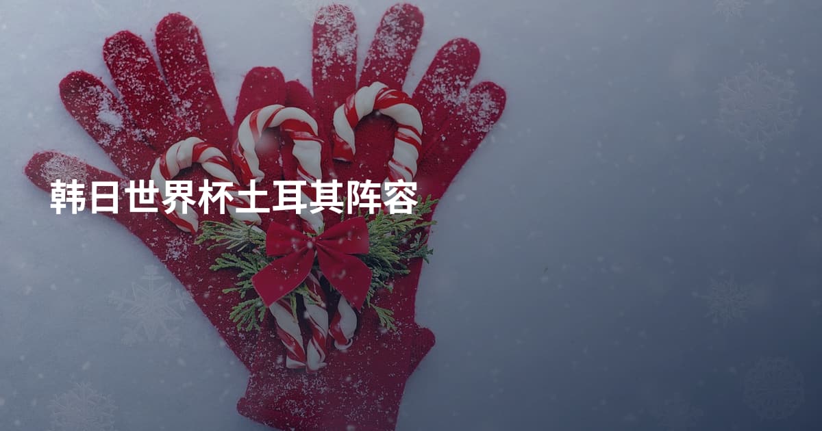 韩日世界杯土耳其阵容