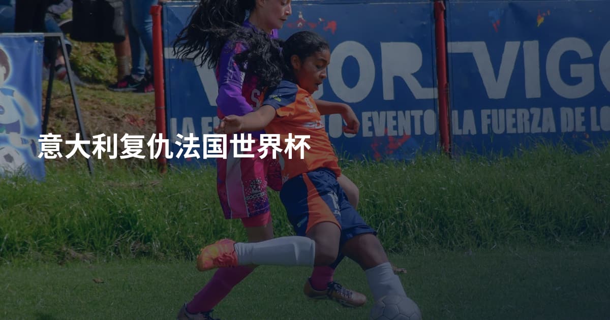 意大利复仇法国世界杯