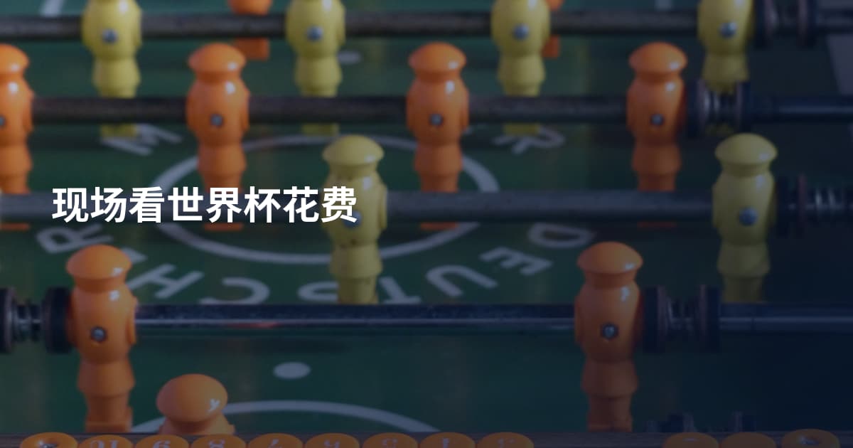 现场看世界杯花费
