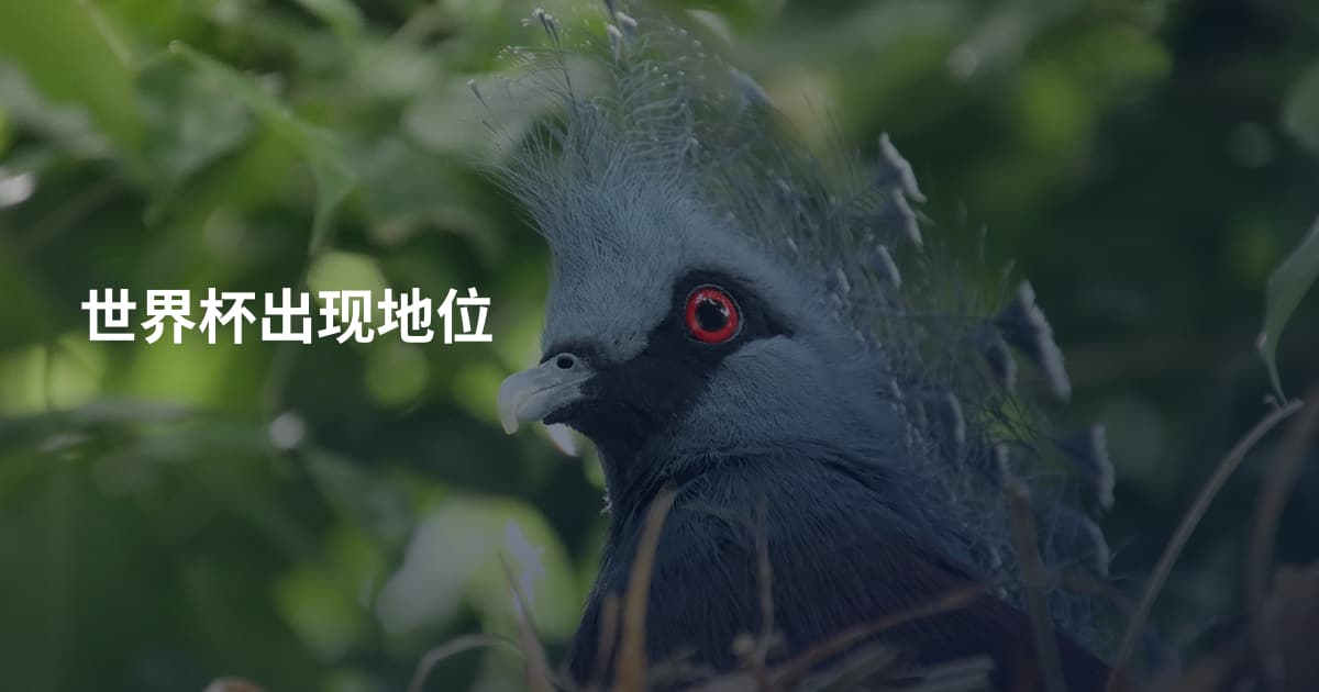 世界杯出现地位