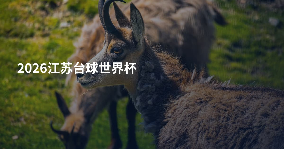 2026江苏台球世界杯