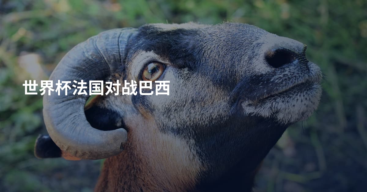 世界杯法国对战巴西
