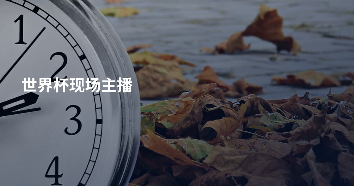 世界杯现场主播