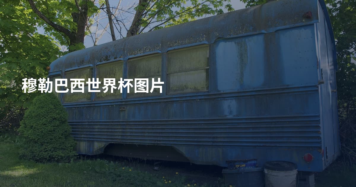 穆勒巴西世界杯图片