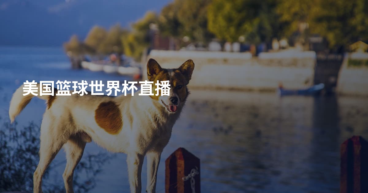 美国篮球世界杯直播