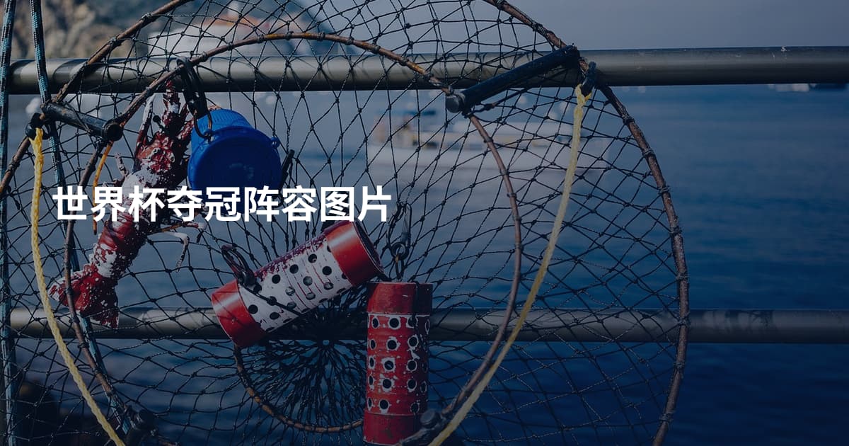 世界杯夺冠阵容图片