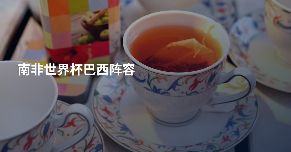 南非世界杯巴西阵容