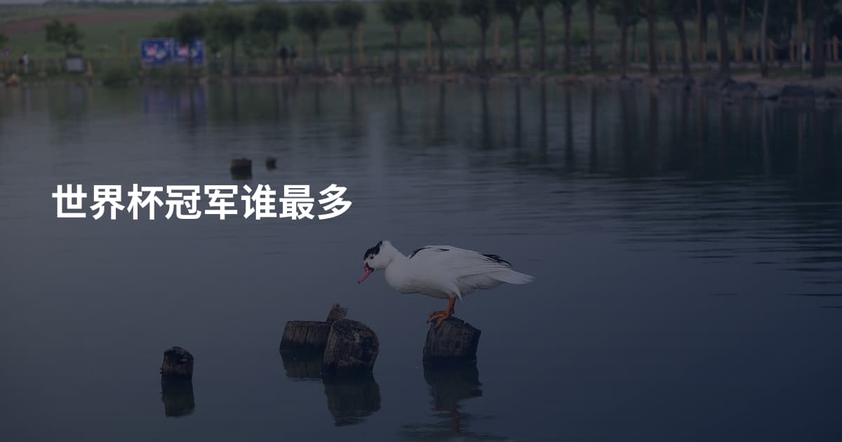世界杯冠军谁最多