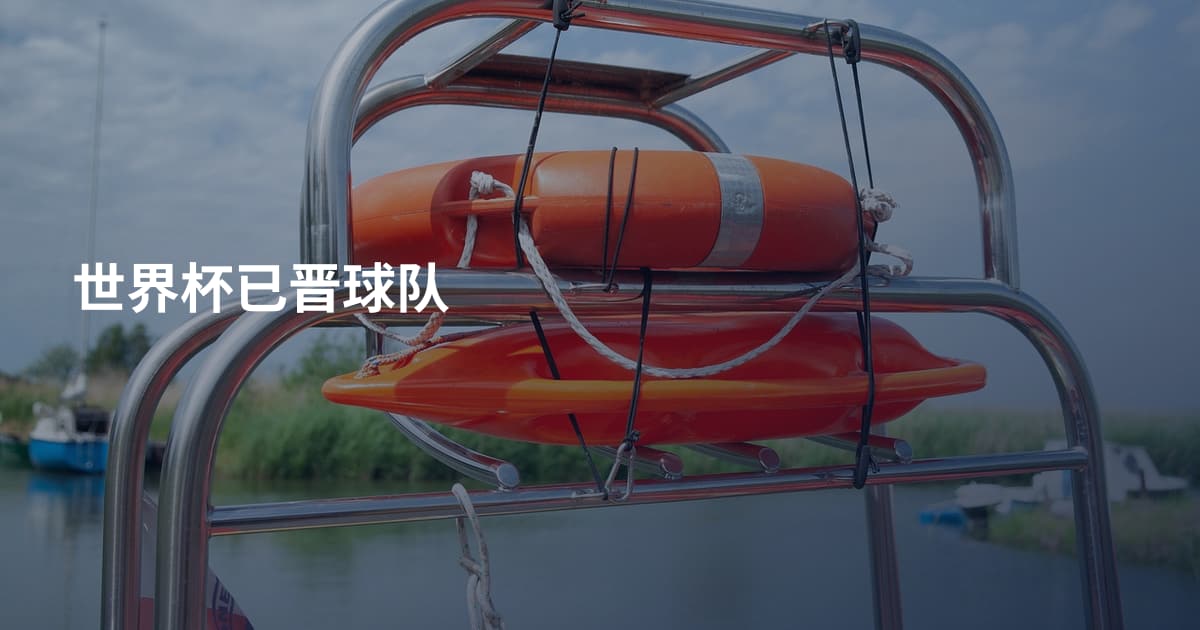 世界杯已晋球队