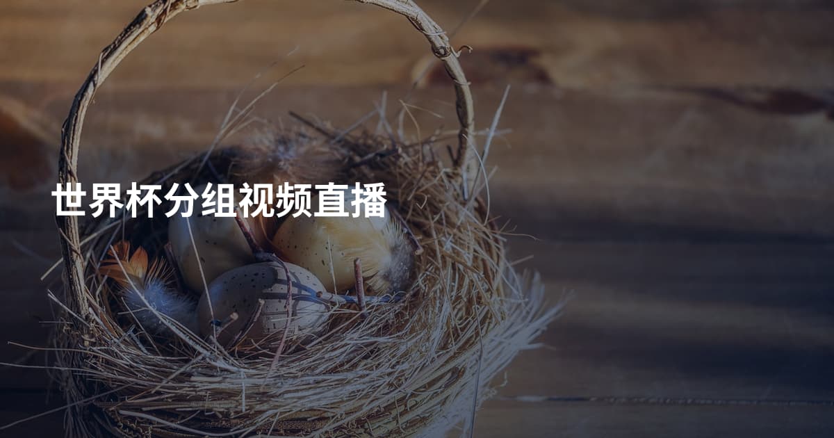 世界杯分组视频直播