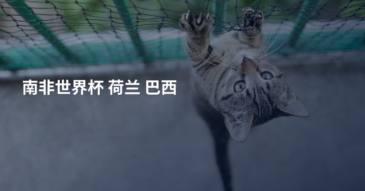 南非世界杯 荷兰 巴西