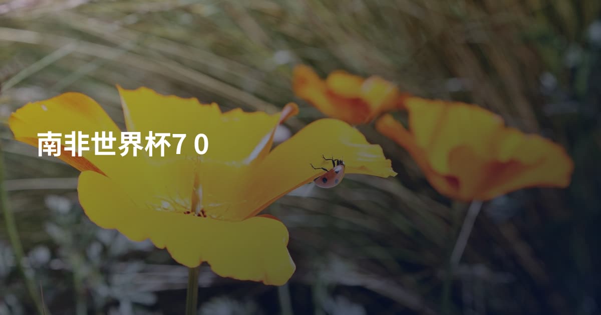 南非世界杯7 0