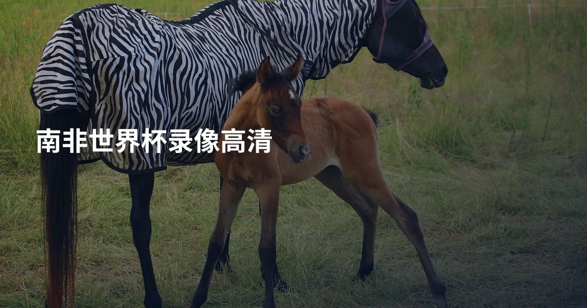 南非世界杯录像高清