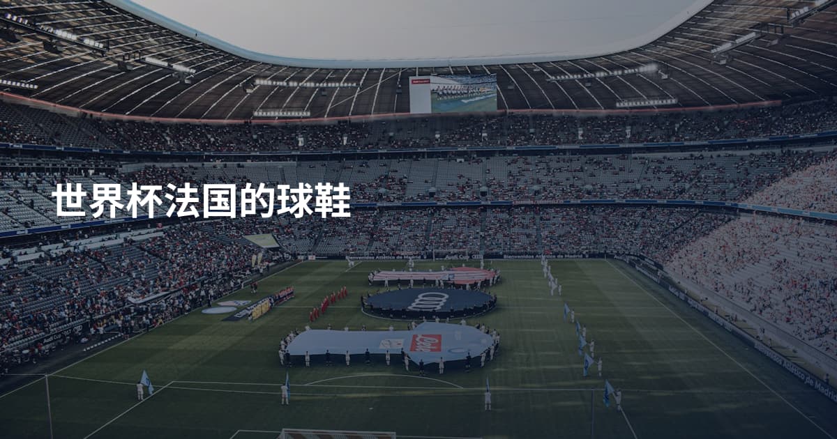 世界杯法国的球鞋