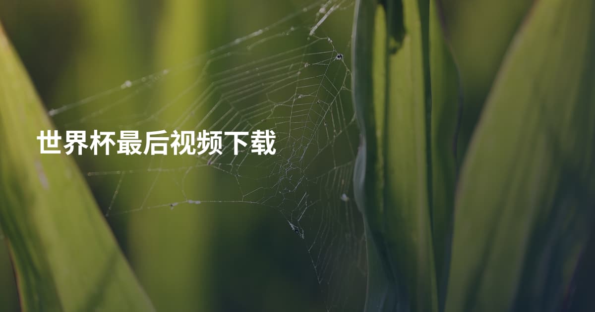世界杯最后视频下载