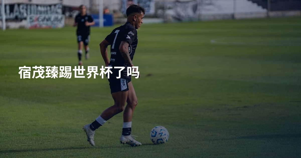 宿茂臻踢世界杯了吗