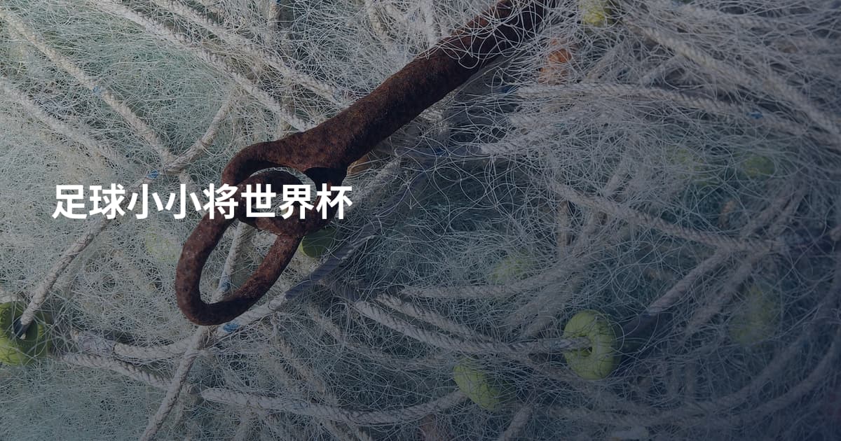 足球小小将世界杯