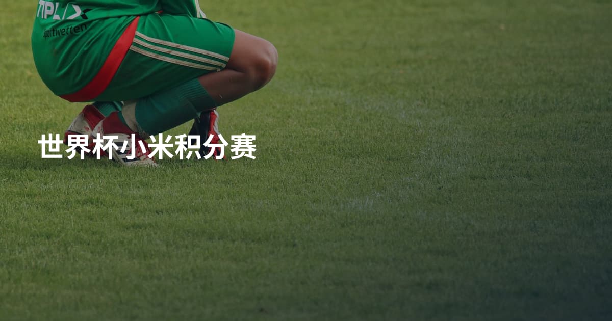 世界杯小米积分赛