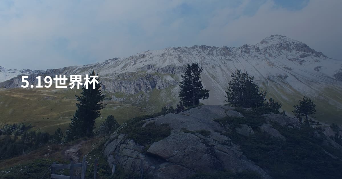 5.19世界杯
