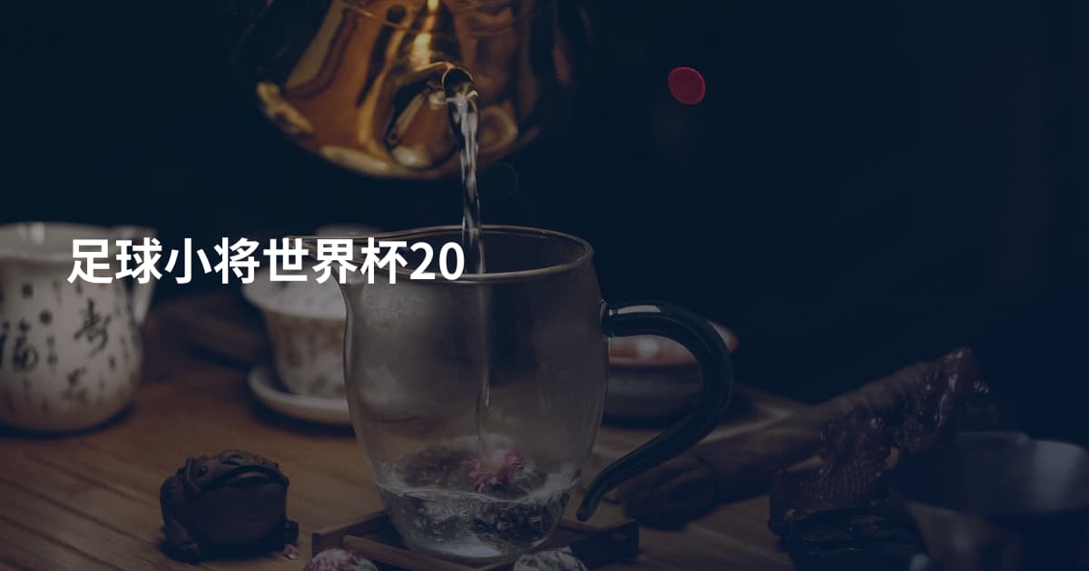 足球小将世界杯20
