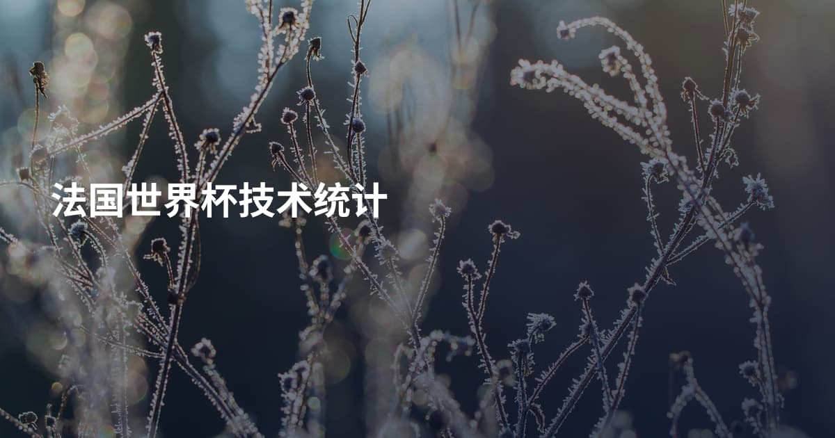 法国世界杯技术统计