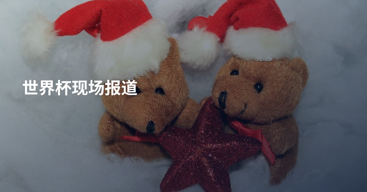 世界杯现场报道