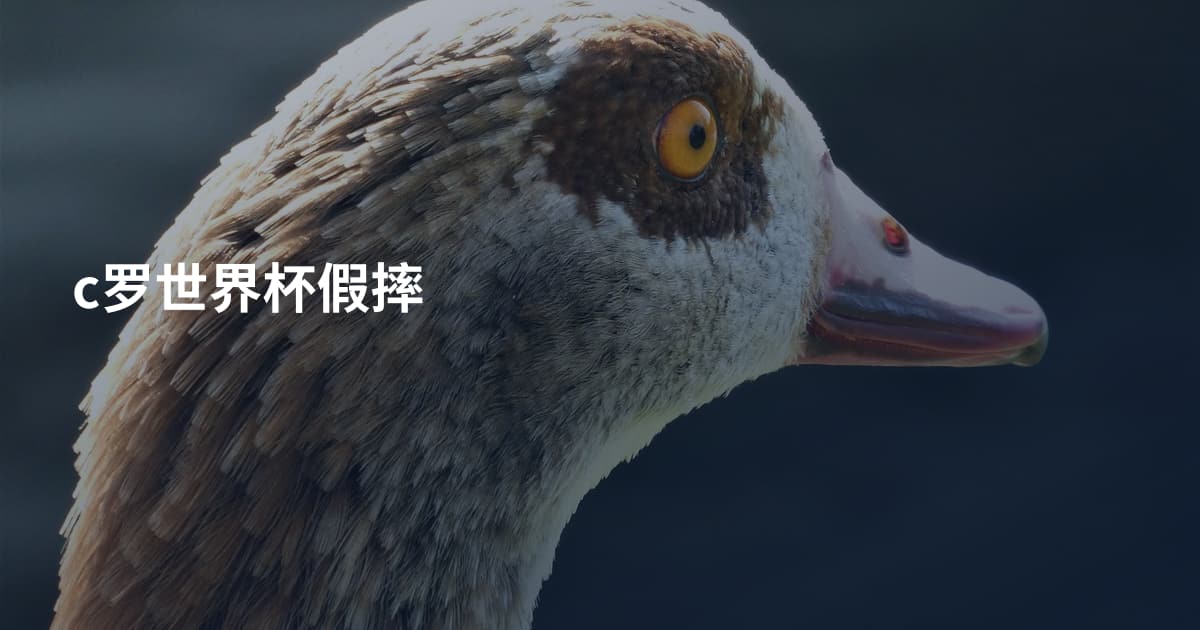 c罗世界杯假摔